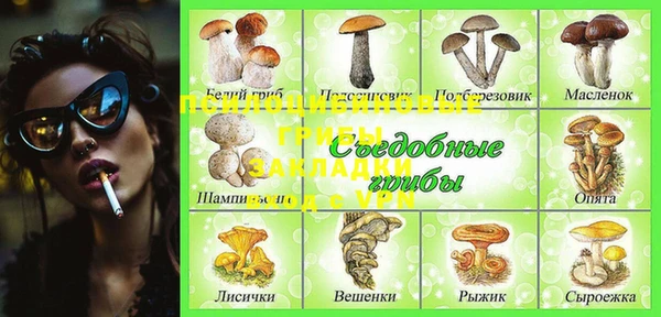 бошки Баксан