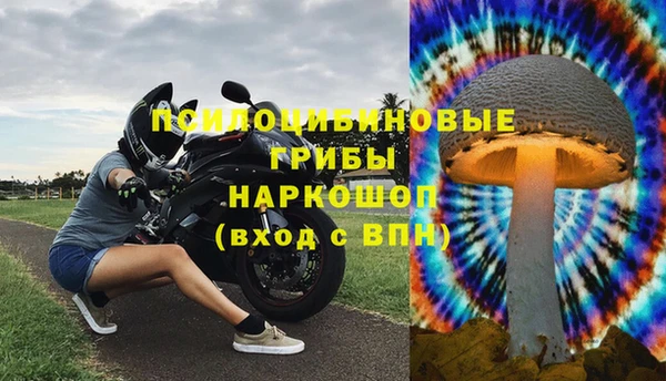 бошки Баксан