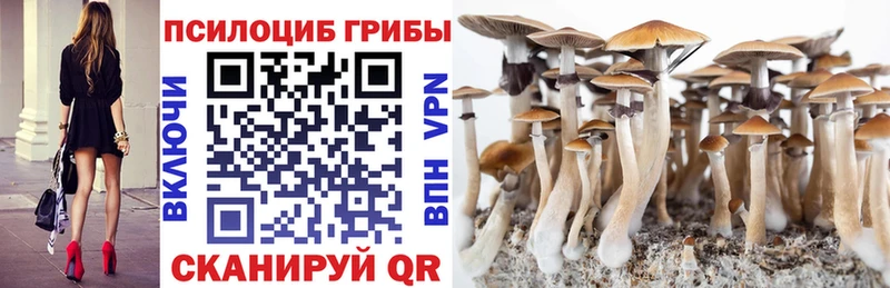 Галлюциногенные грибы ЛСД  Баксан 
