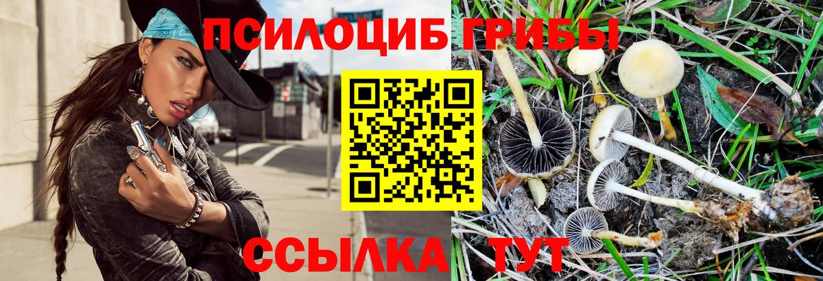 Баксан  Галлюциногенные грибы MAGIC MUSHROOMS  Вход с VPN 